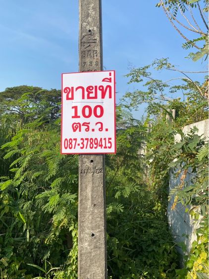 ขายที่ดิน100 ตรว