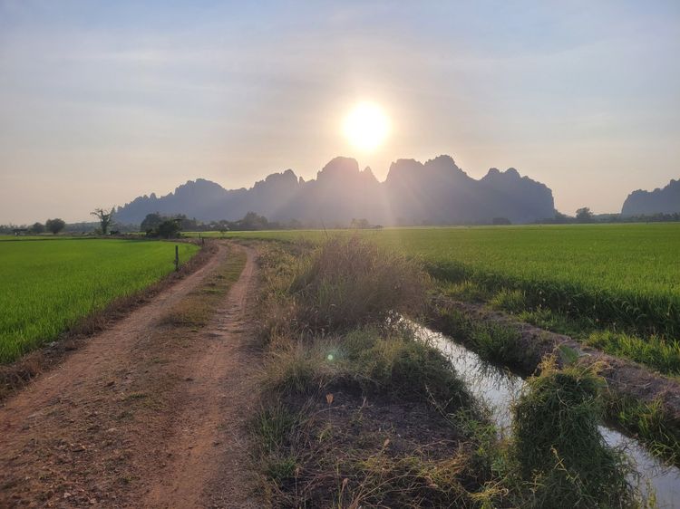 ขายที่นา