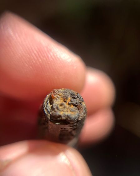 เปิดตะกรุดลูกปืนไม่ทราบที(มีสินค้าหลายรายการกดเข้ามาดูในโปรไฟล์ได้เลยครับ) รูปที่ 4