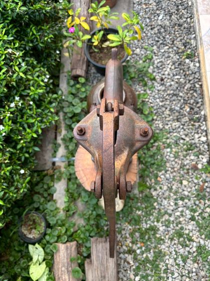 ชุดแต่งสวน รูปที่ 4