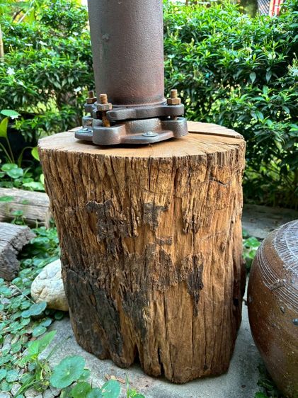 ชุดแต่งสวน รูปที่ 5