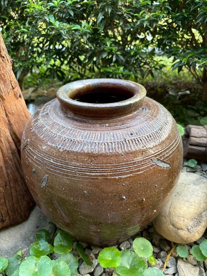 ชุดแต่งสวน รูปที่ 6