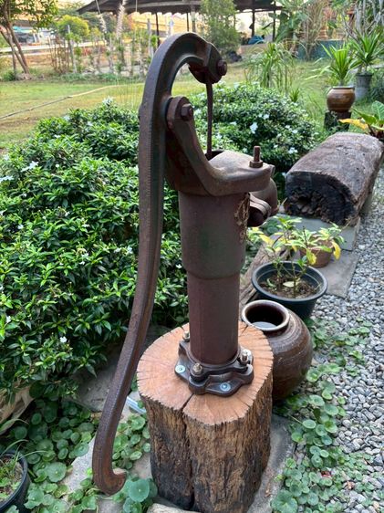 ชุดแต่งสวน รูปที่ 3