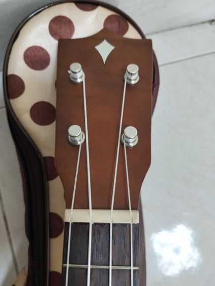 อูคูเลเล่ รูปที่ 6
