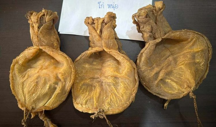 กระเพาะปลาเก่า 3 ตัว สายพันธ์ ไม่แน่ใจ รูปที่ 2