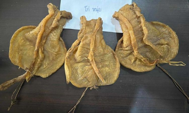 กระเพาะปลาเก่า 3 ตัว สายพันธ์ ไม่แน่ใจ