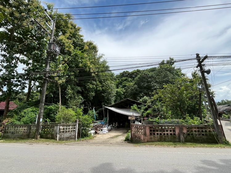 ขายที่ดิน 196 ตารางวา สันทราย เชียงใหม่ รูปที่ 4
