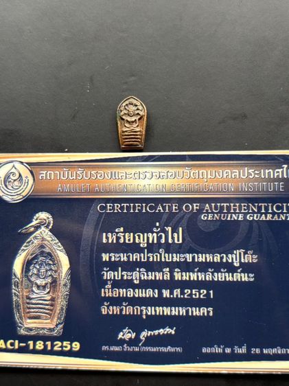 พระนาคปรก