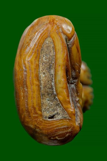 พระปิดตาหลวงพ่อเดิม รูปที่ 3