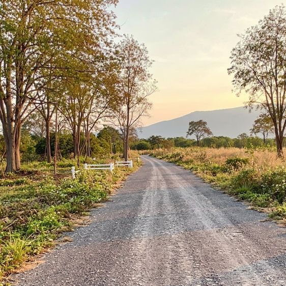 วิวเขาหลักล้าน ในราคาผ่อนตรงเริ่มต้น121ตรว ตำบลหมูสี อำเภอปากช่อง จ.นครราชสีมา รูปที่ 2