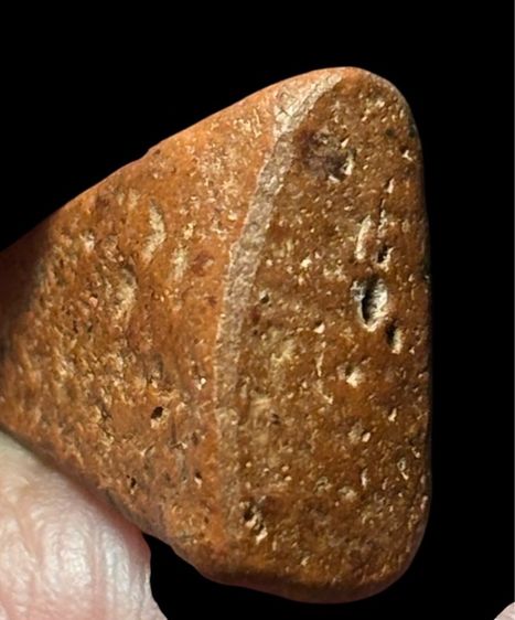 นางพญา พิษณุโลก   รูปที่ 4