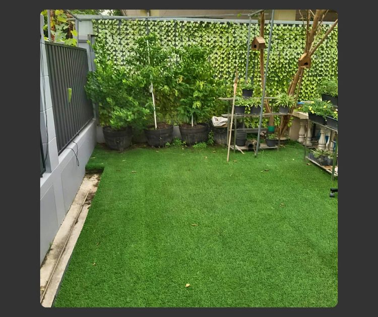 มีบางส่วน บ้านพร้อมอยู่ ซ.โรงหมี่ บางบัวทอง รูปที่ 4