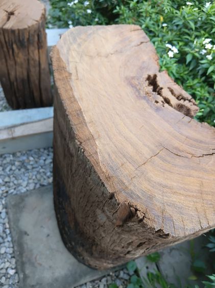 ขอนไม้เต็งเก่าแต่งสวน รูปที่ 3