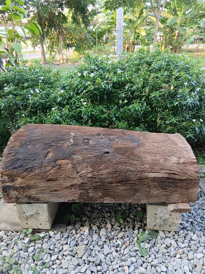 ขอนไม้เต็งเก่าแต่งสวน รูปที่ 8