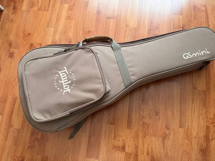 Taylor GS Mini