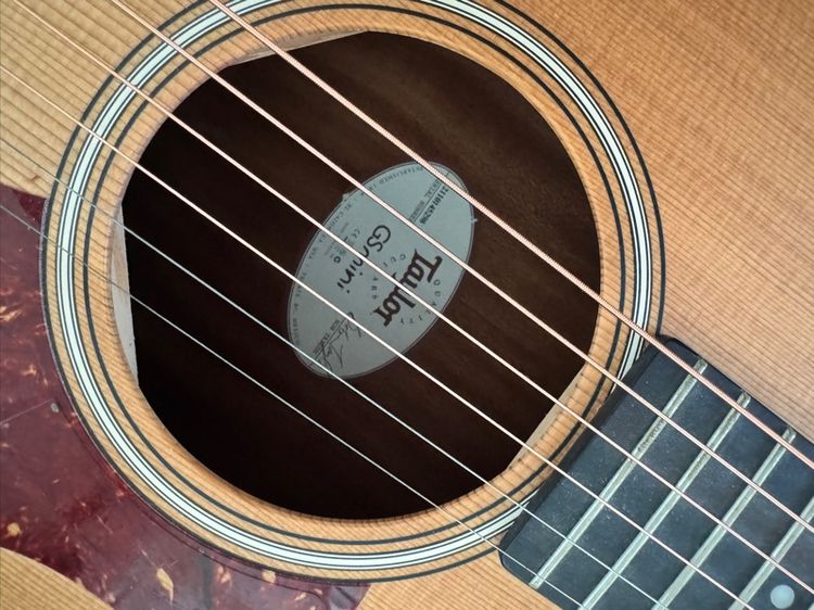 Taylor GS Mini รูปที่ 7