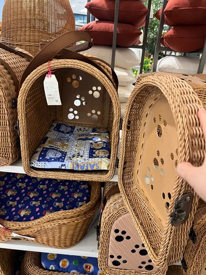 กระเป๋าใส่แมว รูปที่ 2