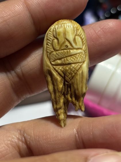 ไม่ทราบที่ดิน