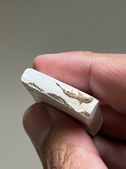 หนุมานเนื้อผง รูปที่ 5