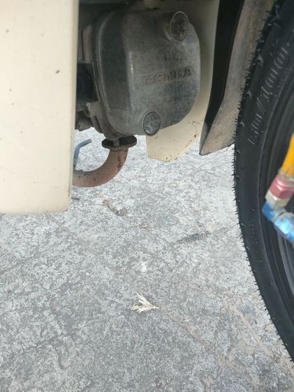 ขายดรีมซุปเปอร์คัพ รูปที่ 5