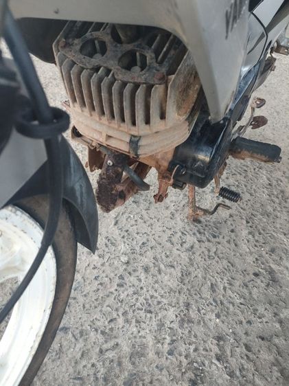 ขาย speed ยกคู่ รูปที่ 14