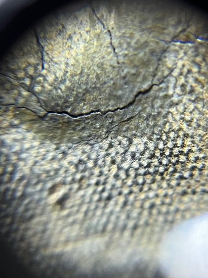 พระกรุเนื้ิอชิน รูปที่ 6