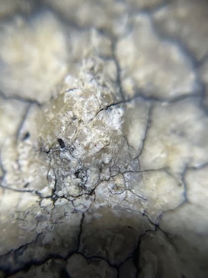 สมเด็จองค์หนาๆ รูปที่ 8