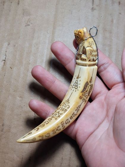 เครื่องรางเขี้ยวหมูหลวงปู่ไสวนครปฐม รูปที่ 5