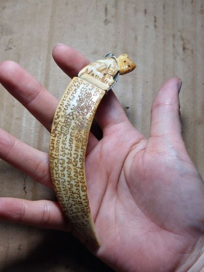 เครื่องรางเขี้ยวหมูหลวงปู่ไสวนครปฐม รูปที่ 6