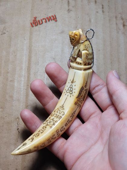 เครื่องรางเขี้ยวหมูหลวงปู่ไสวนครปฐม