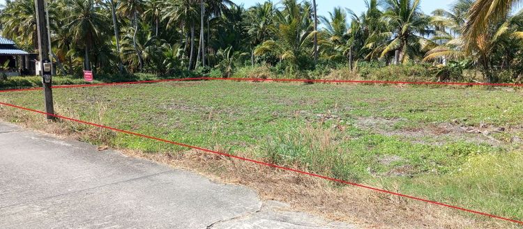 ใช่ ขายที่ดิน 1 ไร่ 72 ตารางวา ที่ดินสวยทำเลดีติดถนนคอนกรีต พร้อมลงมิเตอร์ไฟฟ้าได้เลย ใกล้ทะเลและสถานที่ท่องเที่ยวธรรมชาติ เหมาะที่จะปลูกบ้านพักตากอากาศหรือทำธุรกิจ เอกสารสิทธิ์โฉนด น.ส.4 ไม่มีนายหน้า เจ้าของขายเอง ค่าโอนผู้ขายออกให้ รูปที่ 4