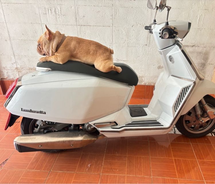 Lambretta V-Special 2023 ขายรถมอเตอร์ไซค์