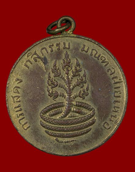 พระชินราชปี๒๔๖๐ รูปที่ 8