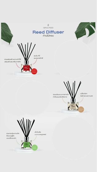 ก้านไม้หอม รูปที่ 7