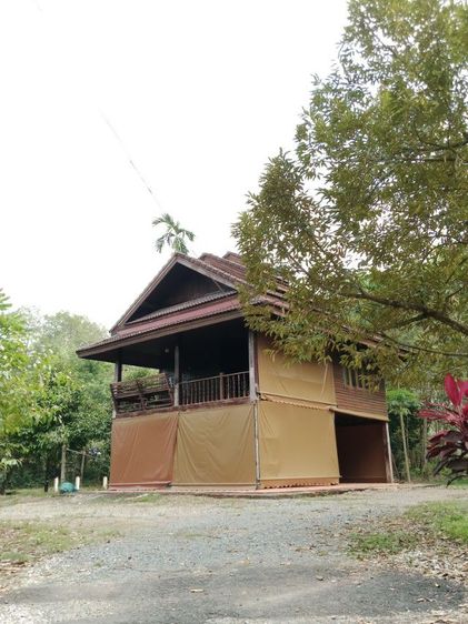 ขายที่ดินสวนผลไม้บ้านเรือนไทย ✓ ทำเลดีสวยที่ดินคุณภาพ