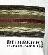 BURBERRY Striped Hesford Logo T-Shirt รูปที่ 3