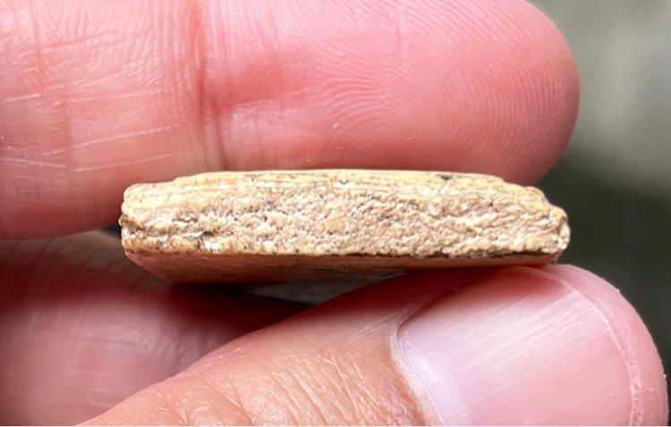 พระสมเด็จ รูปที่ 4