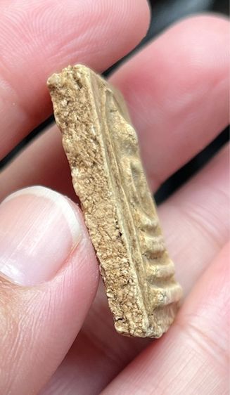 พระสมเด็จอกครุฑ รูปที่ 5