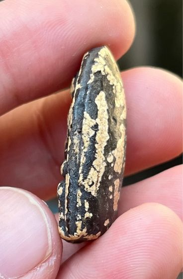 พระกรุวัดรังษี รูปที่ 5