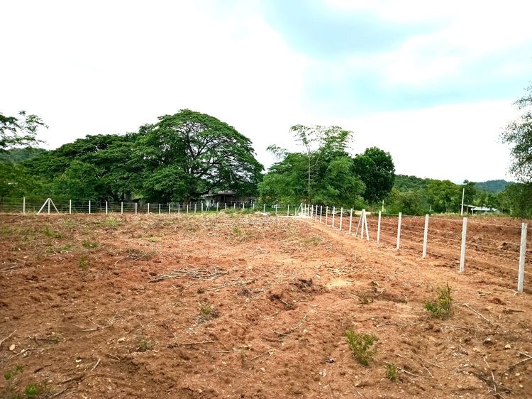 1-3-36 ไร่ โฉนดครุฑแดง ที่ดิน มวกเหล็ก สระบุรี รูปที่ 4