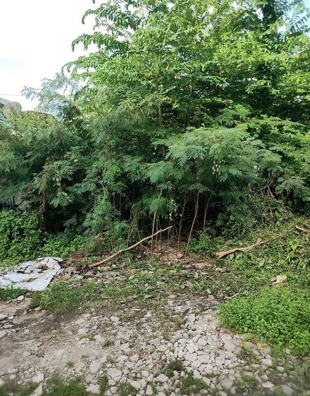 ที่ดินพระรามสาม