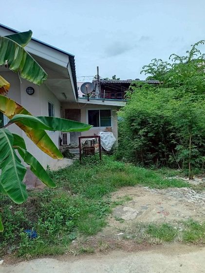 ไม่ใช่ ที่ดินพระรามสาม รูปที่ 3