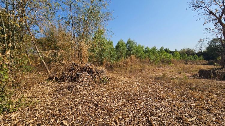 ที่ดินเขตเมืองขอนแก่น รูปที่ 3