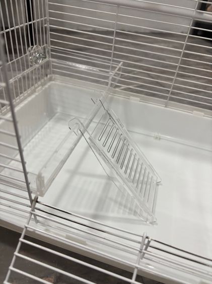 กรงหนู รูปที่ 7