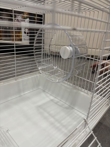 กรงหนู รูปที่ 6