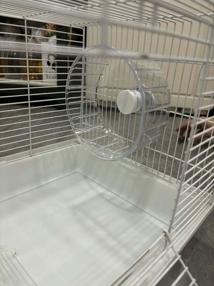 กรงหนู รูปที่ 9