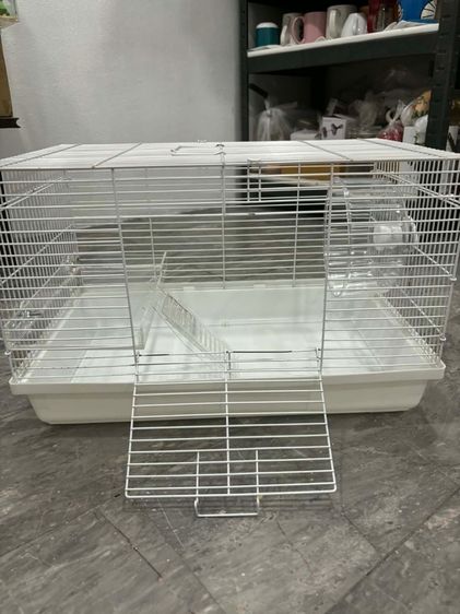 กรงหนู รูปที่ 8