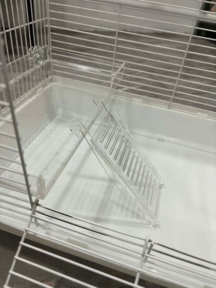 กรงหนู รูปที่ 7