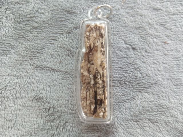 คต งอก รูปที่ 9