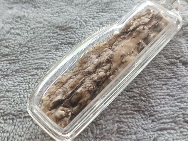 คต งอก รูปที่ 11